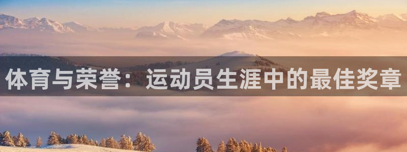 球客岛：体育与荣誉：运动员生涯中的最佳奖章