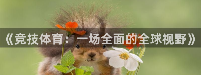 球客岛