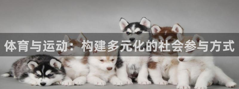 球客岛