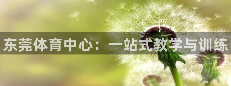 球客岛