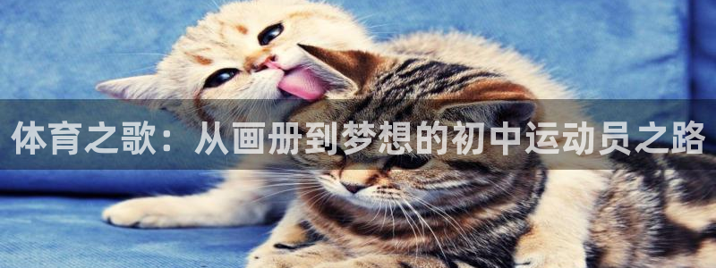 球客岛：体育之歌：从画册到梦想的初中运动员之路