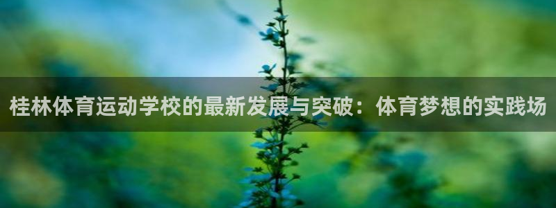 球客岛：桂林体育运动学校的最新发展与突破：体育梦想的实践场