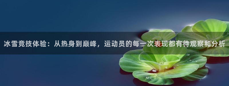 球客岛：冰雪竞技体验：从热身到巅峰，运动员的每一次表现都有待观察和分析